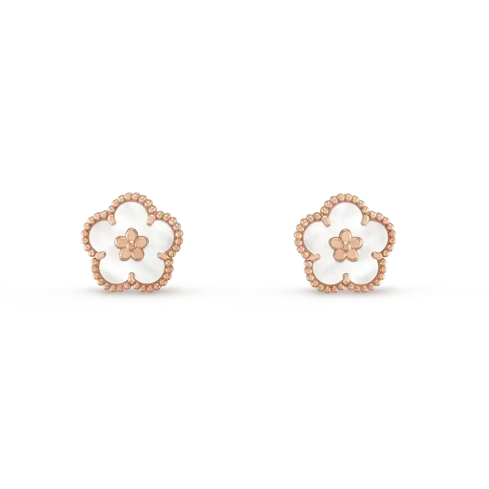 2150045-scaled-1.webp